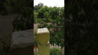 jalan*.rumah pertemuan sawah pulau mandul..❤️