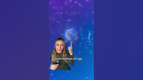 Sperm under a microscope & #pregnant  #pregnantlife #ttc #conceived #fertilityjourney #fertility