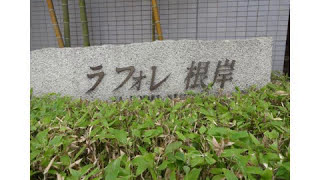 ラ・フォレ根岸 「台東区根岸5丁目 賃貸」