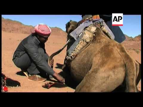 Video: Paano Gumawa Ng Camel