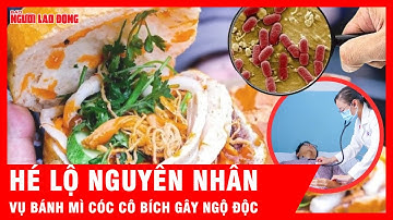 Hé lộ nguyên nhân khiến 316 người có triệu chứng ngộ độc sau khi ăn bánh mì cóc cô Bích | Tin tức