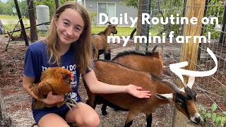 Day in the life on a Mini Farm