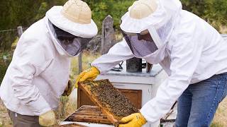 Mauricio Rabinovich en Campo y Abejas Online - 11/06/2026