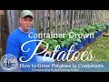 How to Grow Potatoes In Containers (Complete Step by Step Growing Guide) Part 2  of 3