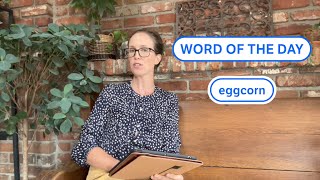 Dictionary.com's Word of the Day: eggcorn