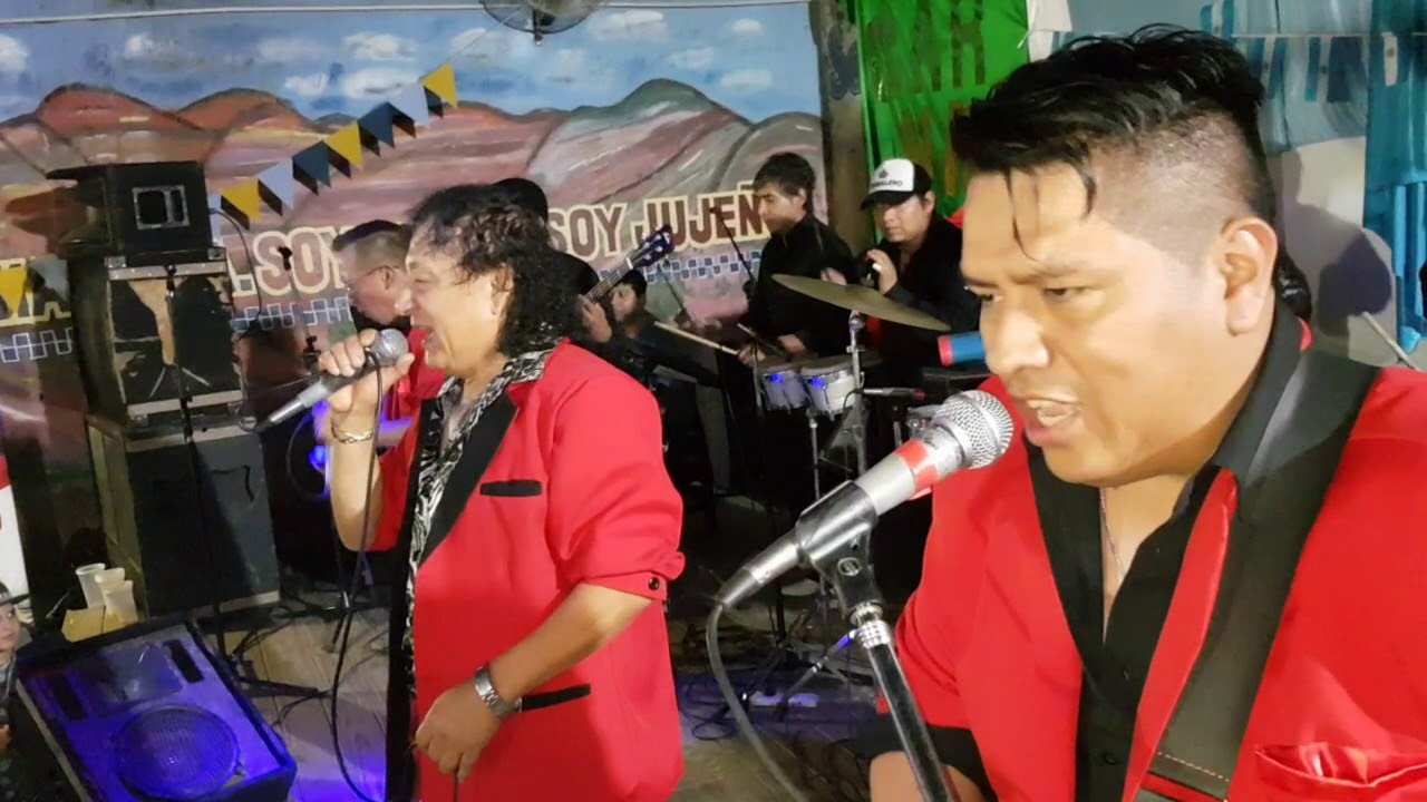 Los mirlo del Perú con Menin