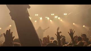 SISI (LIVE) #venegy #sisi #festival #rap #girl #sexy #livemusic #queen #flash #vibes #flow 