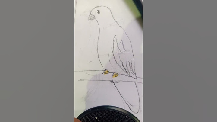 artist vs me bird drawing