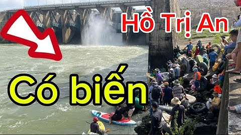 Hàng ngàn người rủ nhau đi bắt cá Khủng ở hồ Trị an và cái kết không thể ngờ - bắt cá hồ thủy điện