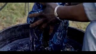 West African indigo dyeing Folklife Apprenticeship
