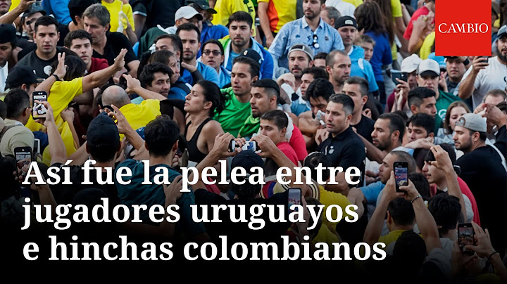 Así fue la pelea entre jugadores uruguayos e hinchas colombianos en la Copa América 2024 | CAMBIO