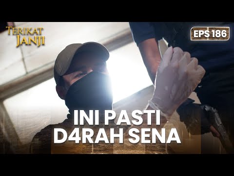 PENUH D4RAH! Reza Memenemukan Tempat Penyiksaan Sena | TERIKAT JANJI | EPS.186 (3/4)