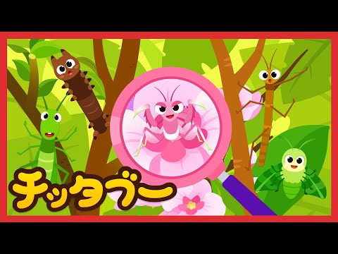 ムシさんたちのかくれんぼ(Hide, bug friends) | 隠れてる昆虫はだれかな？ | 虫の歌 | キッズソング | 子どもの歌 | #チッタブー