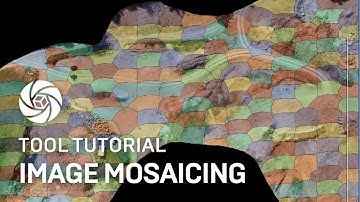 RealityCapture tutorial: Image Mosaicing