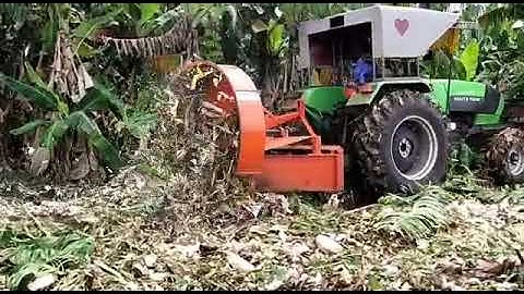SDF Tractor with Banana Mulcher