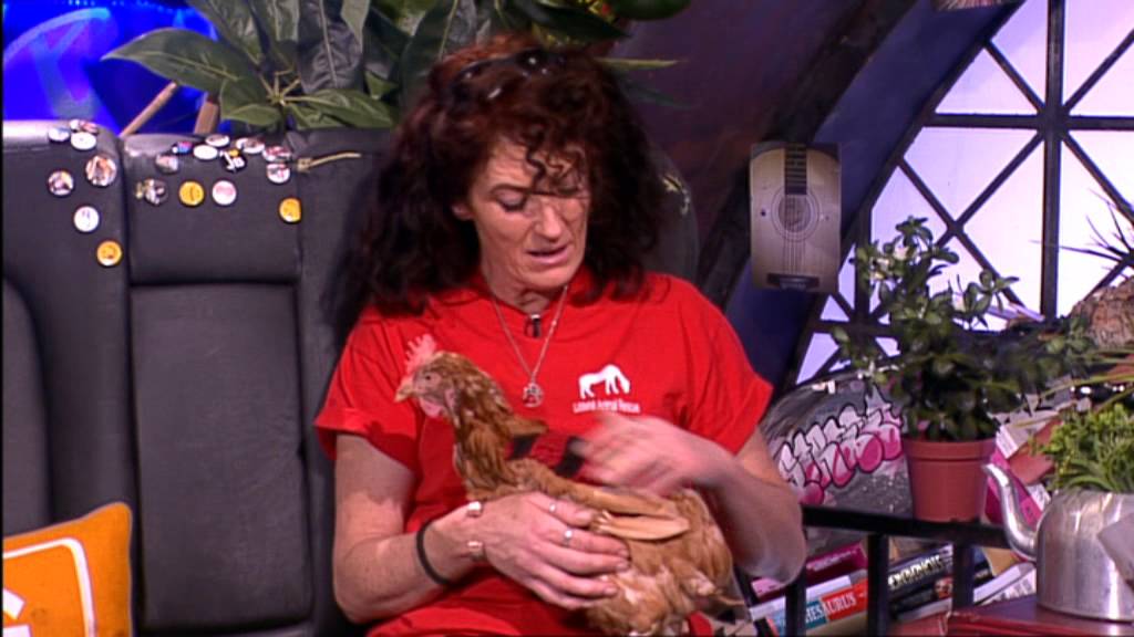Pauline McLynn and Little Hill Animal Rescue & Sanctuary Save The Chickens! | @RTE Kids