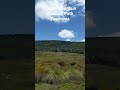 Tasmania, Wombat Path, Cradle Mountain
