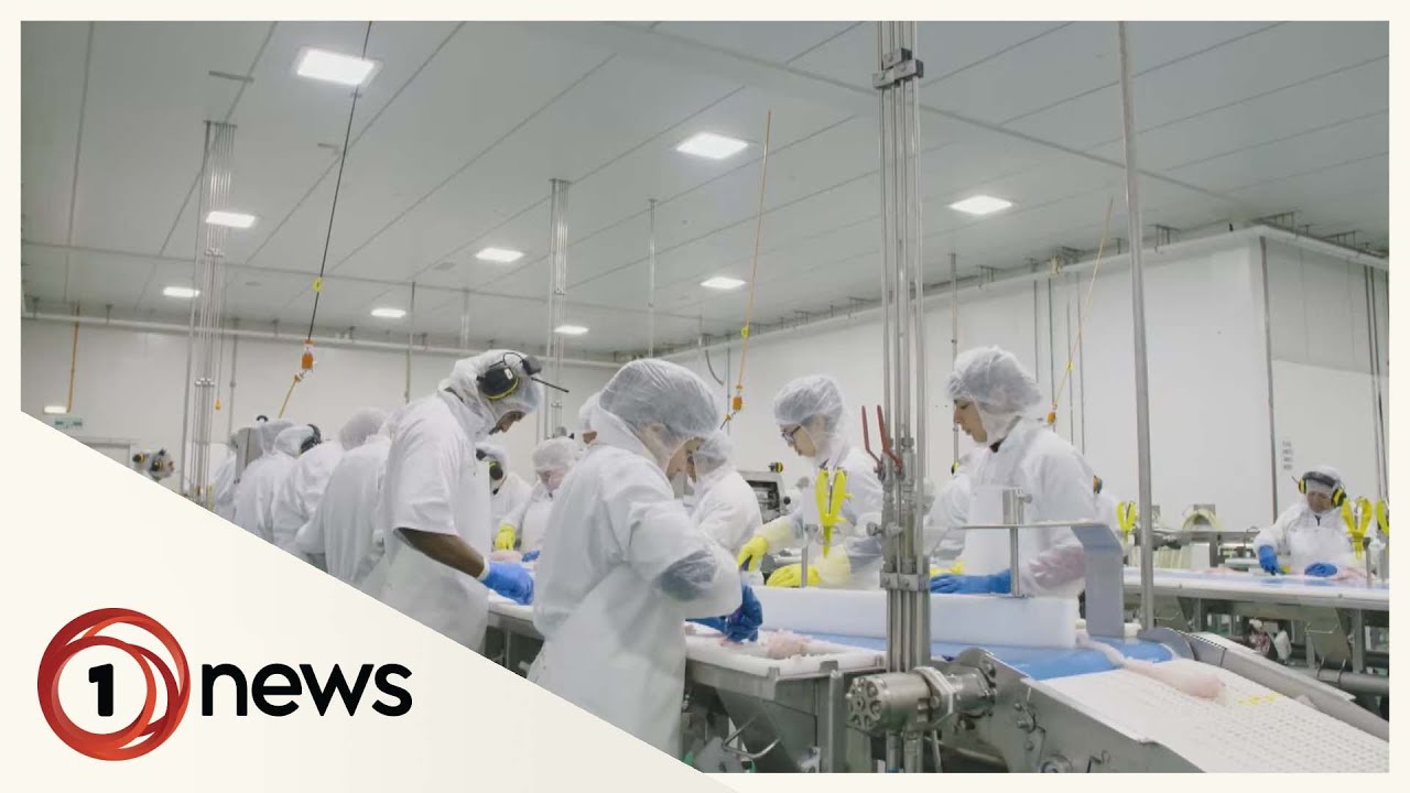 Five-month long 1News investigation raised serious concerns about Talley's workers