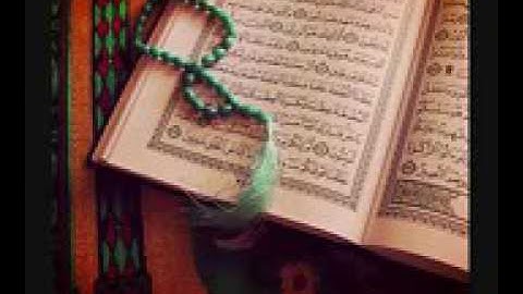 سورة يس - وديع اليمني