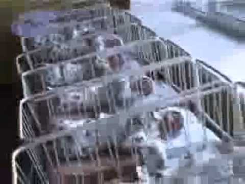 ნახეთ ყველამ     ქალმა 10 შვილი გააჩინა