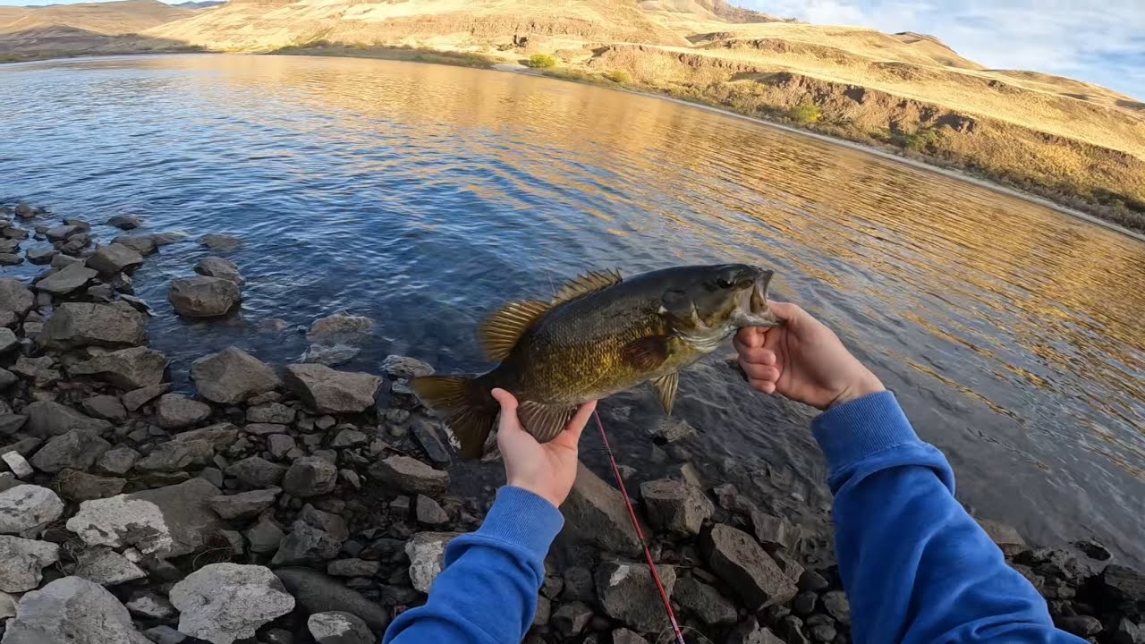 Bass fishing in Asotin Washington!!! #bassfishing #freshwaterfish #gamefish #smallmouthbass #fish