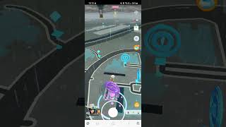 My first Quaxly's IVs are?