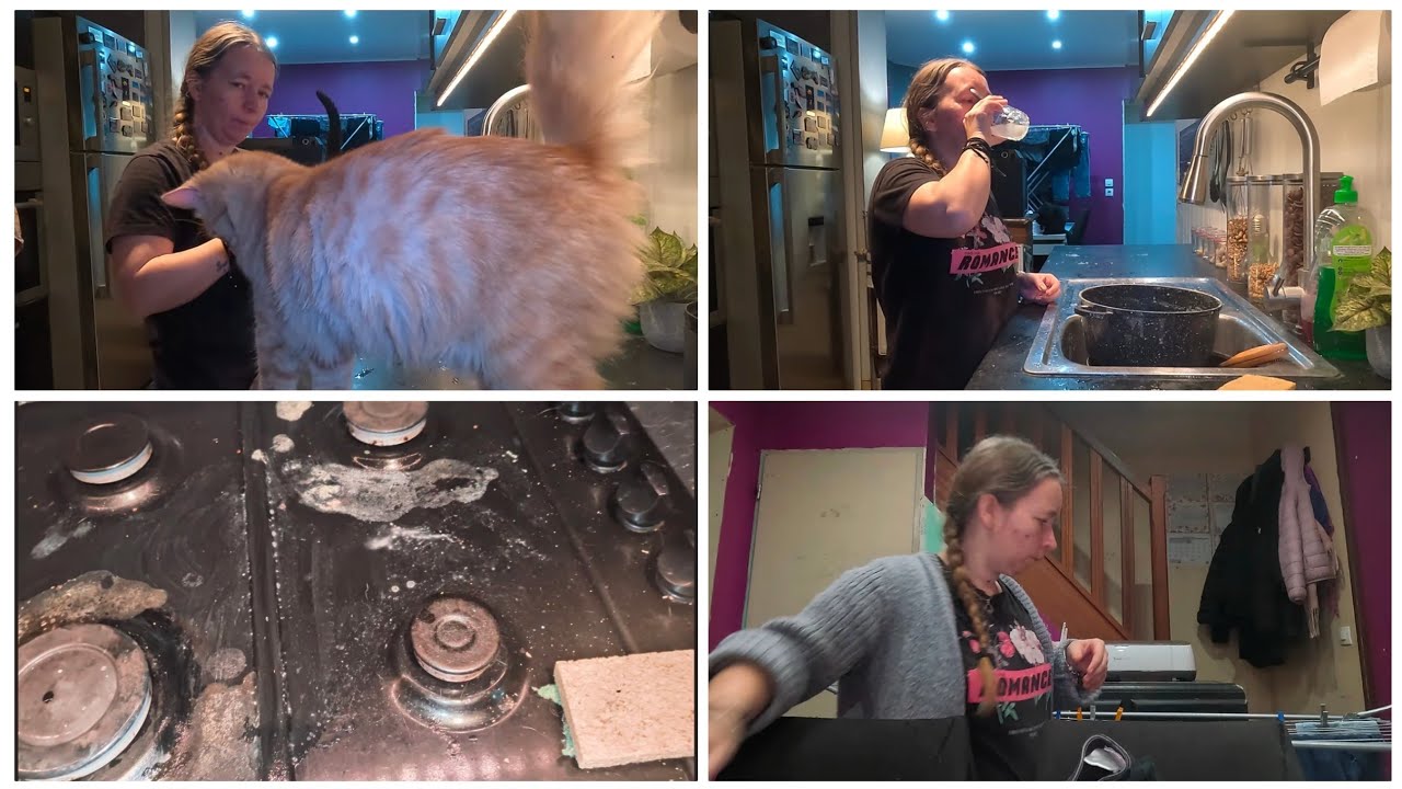 Motivation avec la grippe 🧽🧺🤧