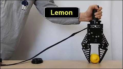 Conveying objects with Fin-ray based TSA gripper