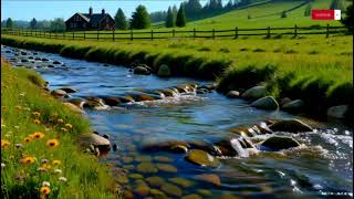 🌊 The Quiet Meadow Creek | Beautiful Piano & Water Sounds for Deep Sleep