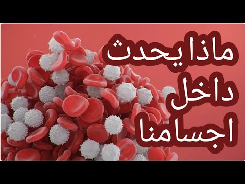 ملاحقة كريات الدم البيضاء للعدوى الجنود البيضاء  