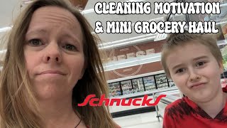 *CLEANING* MOTIVATION | MINI GROCERY HAUL | *NEW*