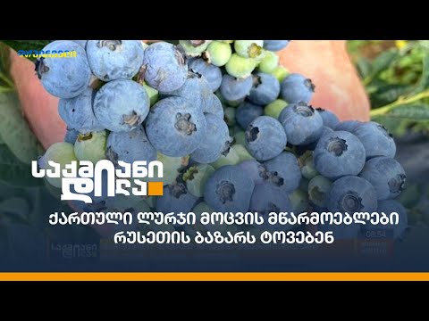 ქართული ლურჯი მოცვის მწარმოებლები რუსეთის ბაზარს ტოვებენ