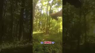 Wild police chase ends with K9 takedown #shorts