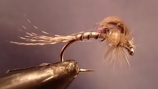 Hammer Creek Loop Wing Emerger