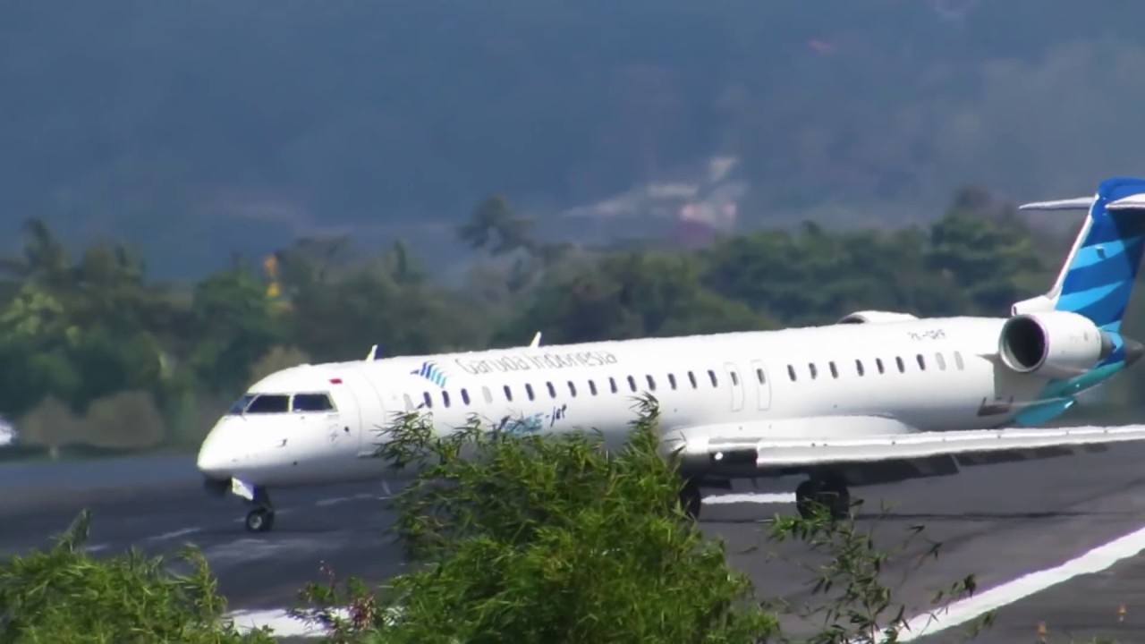 Unduh 9600 Gambar Garuda Pensil Terbaik Gratis