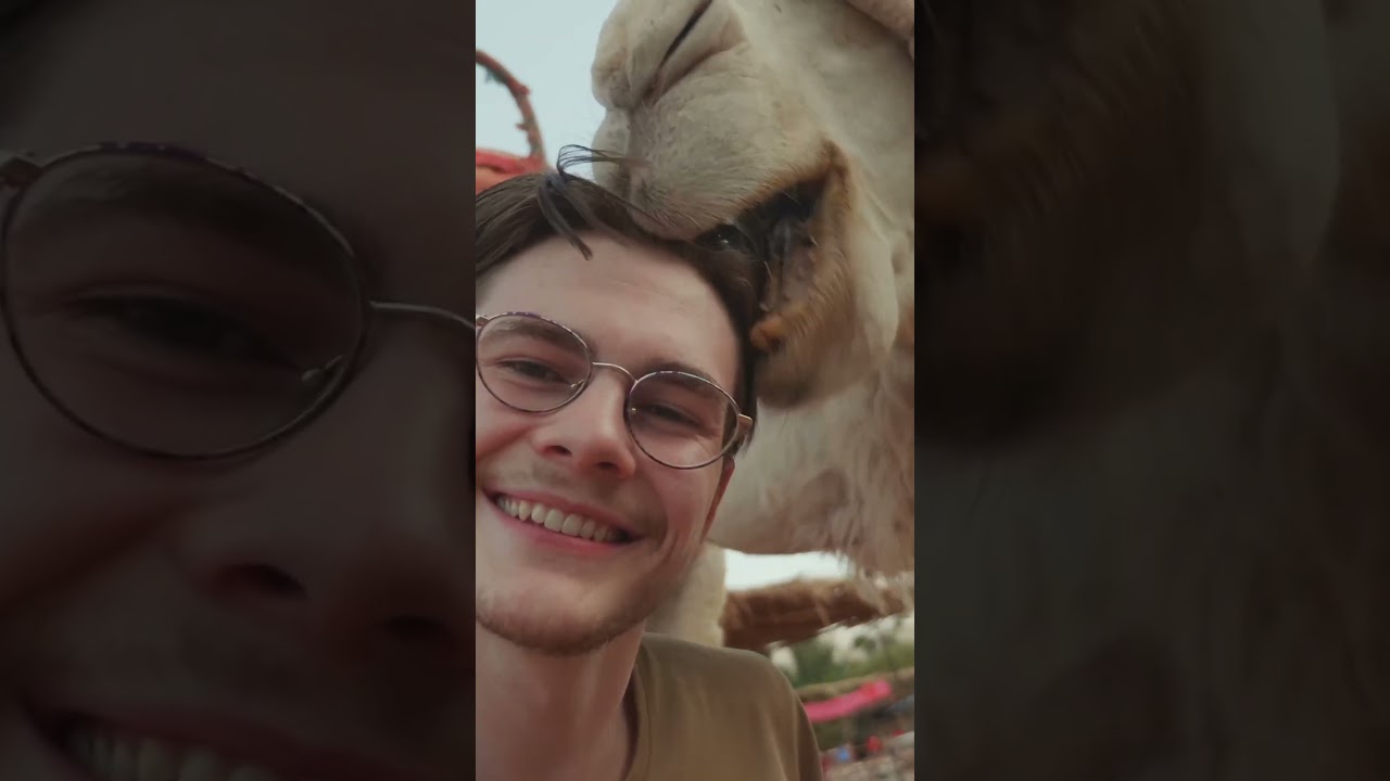 People told me that camels were dangerous...