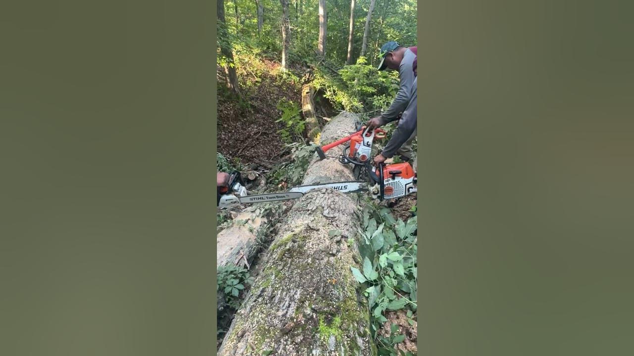 4 stuck chainsaws YouTube