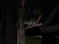 و اذ ك ر اس م ر ب ك و ت ب ت ل إ ل ي ه ت ب ت يل ا قرآن الله لا اله الا الله خدایاشکرت و اذ ك ر اس م ر ب ك و ت ب ت ل إ ل ي ه ت ب ت يل ا قرآن الله لا اله الا الله خدایاشکرت