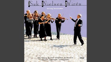 Serenade for String Orchestra, Op. 11: I. Preludium