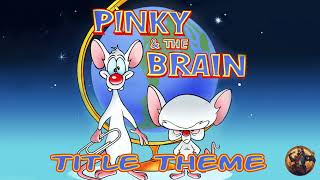 Pinky and the Brain - Title Theme [Piano Cover] #90stv #saturdaymorningcartoons #cartoonmusic