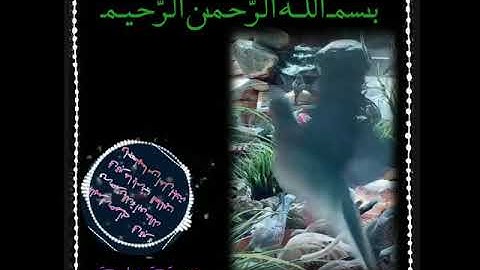 ارح قلبك//اجمل تلاوات خاشعة للقارئ إسلام صبحي /ستوريات قرآن/تلاوات خاشعه مؤثره