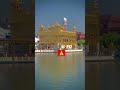 🙏#GoldenTemple#SriHarmandirSahib#Amritsar#Punjab#Waheguru#WaheguruJi