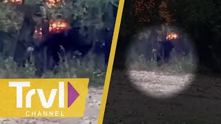 Bigfoot Spotted in Tennessee? | Paranormal Caught on Camera | Travel Channel