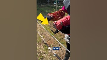 Brilliant Tool That Supports Vineyards 🍇✨
