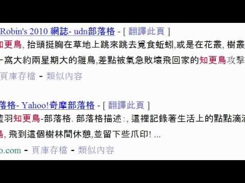 黑猩猩