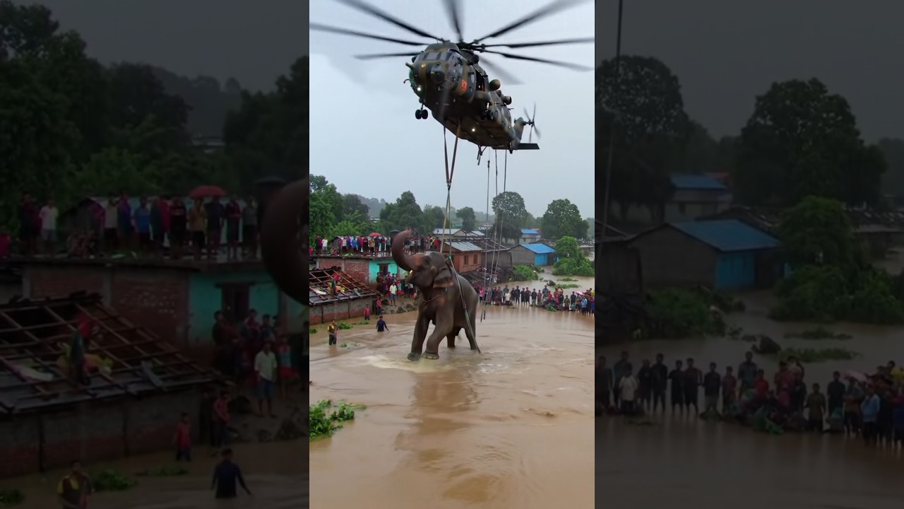 Army Helicopter’s Epic Elephant Rescue From Flood 🌊🐘🚁 | Ultra-Realistic Cinematic