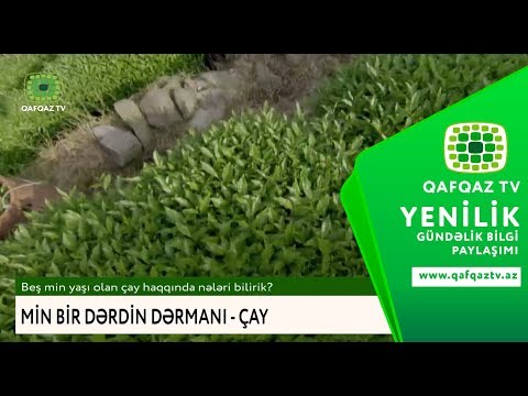 Video: Həqiqi Çin çayını Necə Seçmək Və Almaq