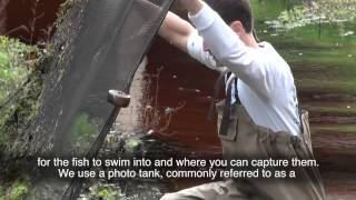 Exploring Research - Ichthyology - Sarah Trimm - RE-EDIT FINAL