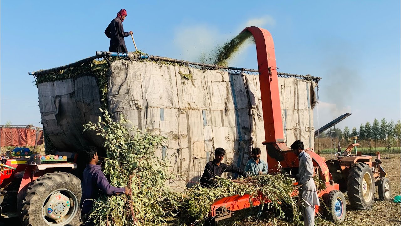 Wood crusher || latest wood crushing machine in punjab Pakistan - YouTube