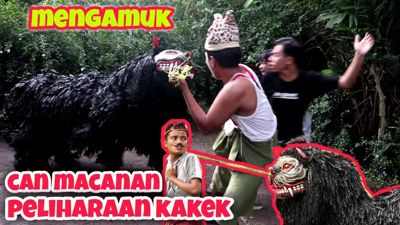CAN MACANAN PELIHARAAN KAKEK MENGAMUK || KOMEDI MADURA